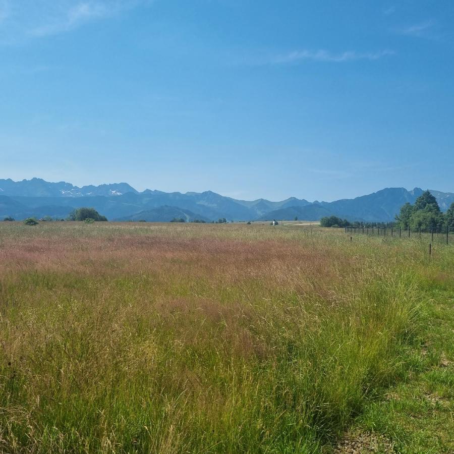 Domek Zakopane Tatrzański Kącik Zewnętrze zdjęcie